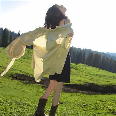 秋日奏鸣曲封面