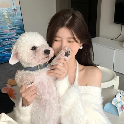 应召生涯第一季封面
