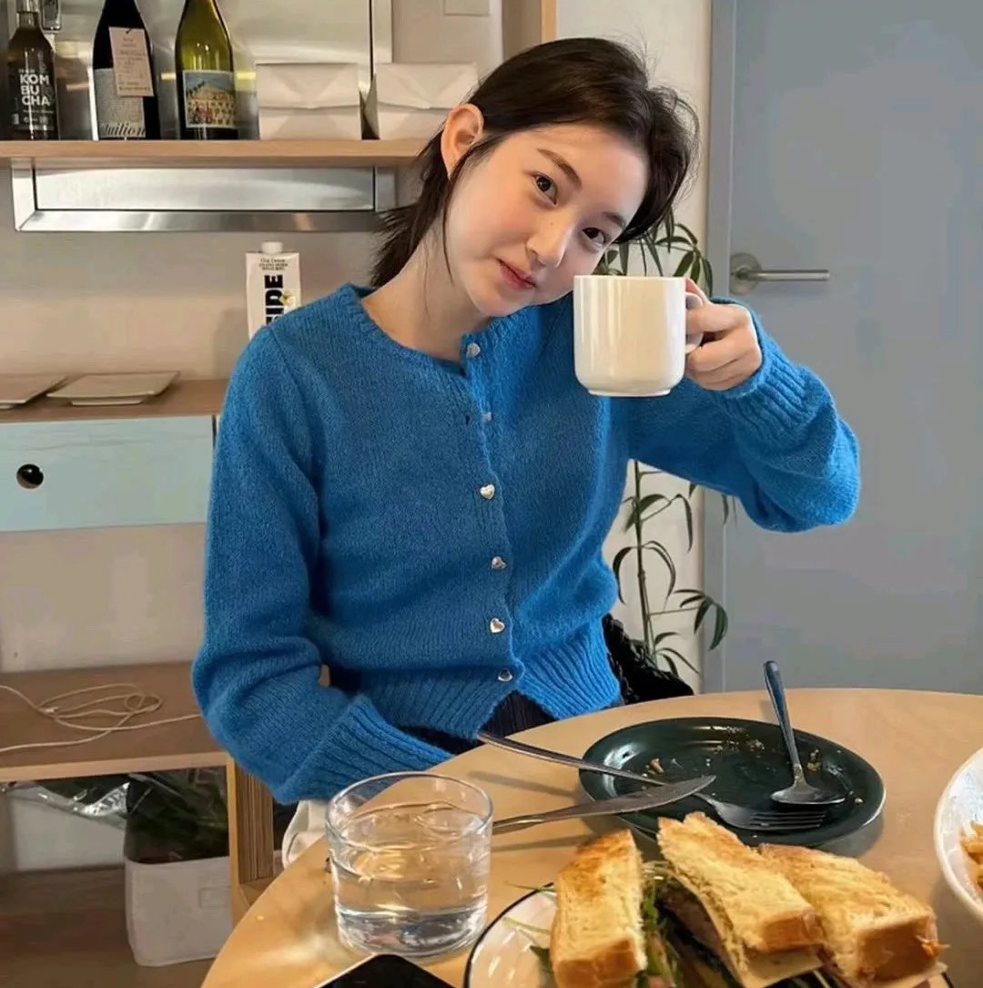 哈莱姆的郁金香封面